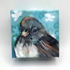 Daisy the Dark-eyed Junco