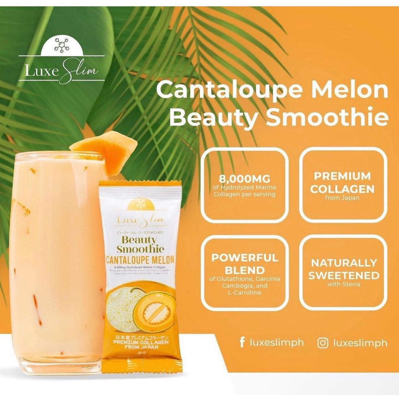 LUXE SLIM Beauty Smoothie Cantaloupe Melon AllThingsByKriz