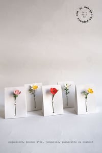 Image 1 of Boites à fleurs (sur commande)