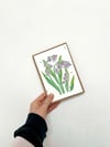 Plantable Seed Card - Bluebells Lino Print