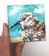 Lil' Pip – Sandpiper bird painting