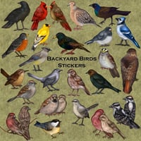 Image 3 of 2022 Backyard Birds Stickers