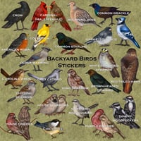 Image 4 of 2022 Backyard Birds Stickers