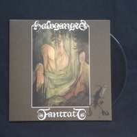 Image 2 of Fåntratt "Halvgången" LP