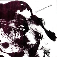 Image 4 of Kevin Murray, Drew Wesely - Oracle Bones (CD)