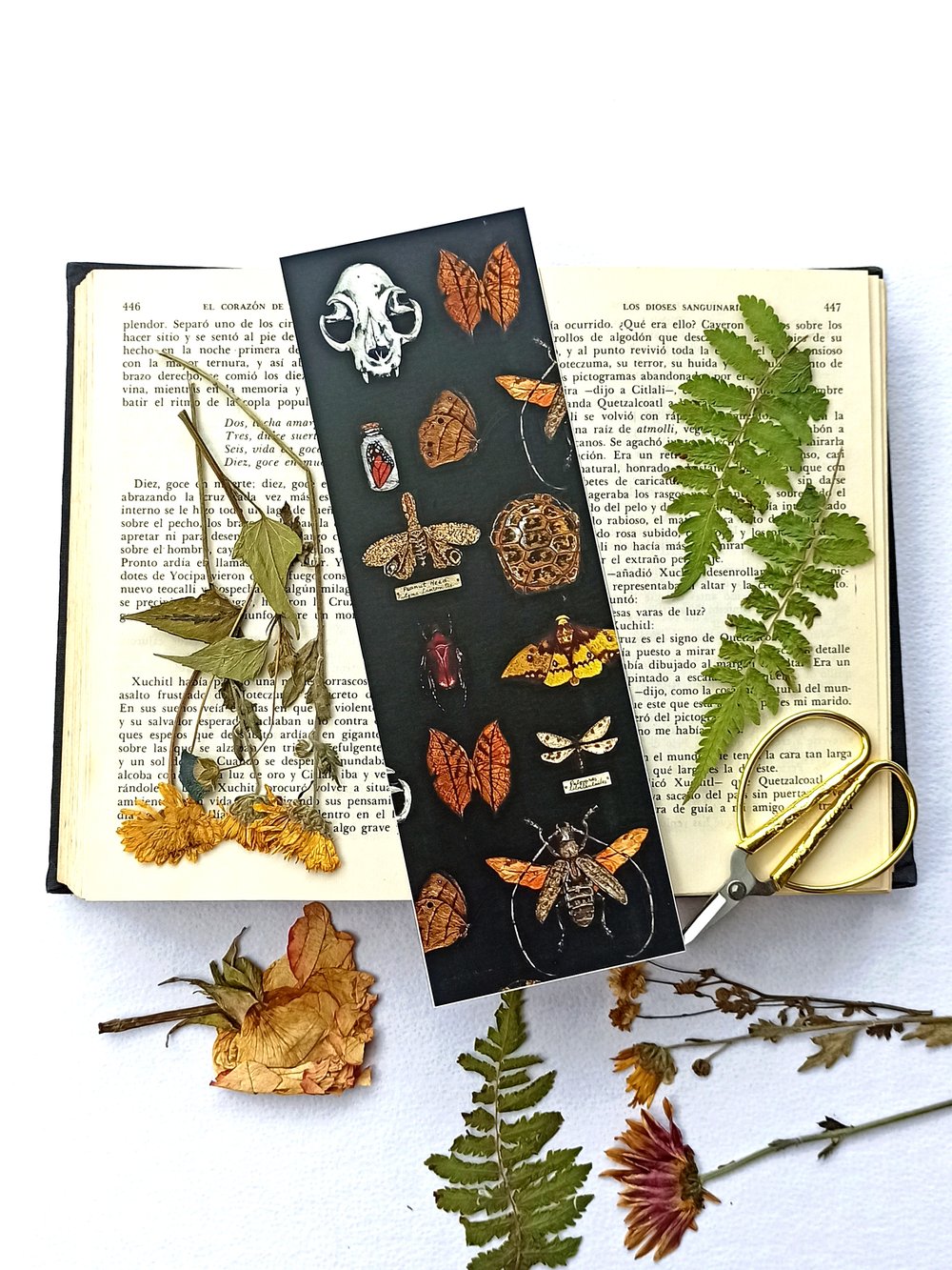 Image of Oddities Collection Bookmarks 