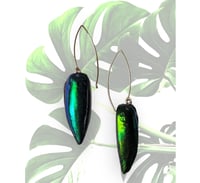 Elytra earrings