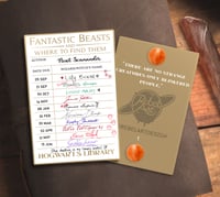 Preorder for "Fantastic Beasts" Library card Hard Enamel pin!