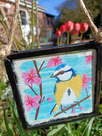 Image 1 of Blue tit on cherry blossom ~ original framed  painting