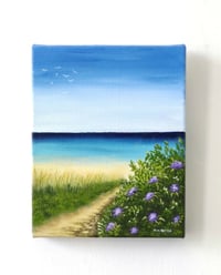 Morning on the South-West Coastal Path