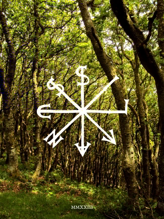 Grimoire Silvanus Zine Issue 8