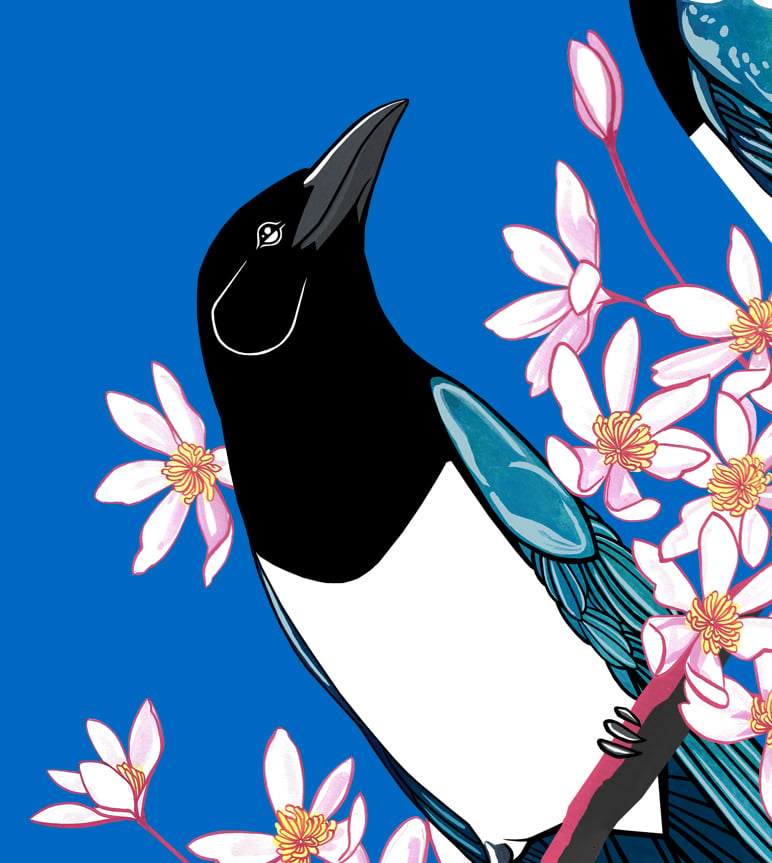 Image of Magpies and Clematis (Dawn)