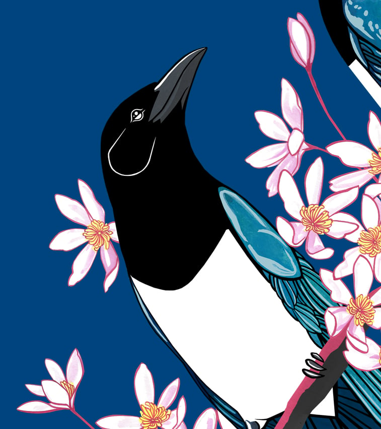 Image of Magpies and Clematis (Dusk)