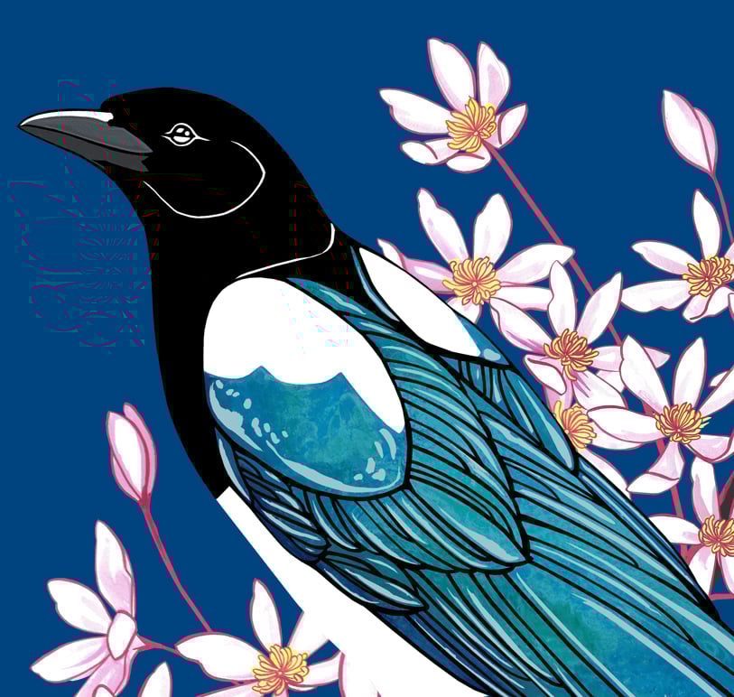Image of Magpies and Clematis (Dusk)