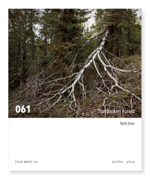 The Broken Forest - Beth Dow