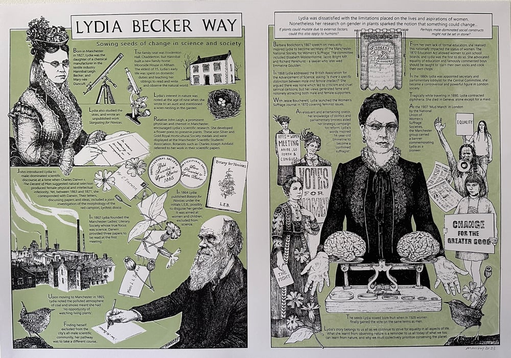 Image of A2 The Lydia Becker Way screen print 