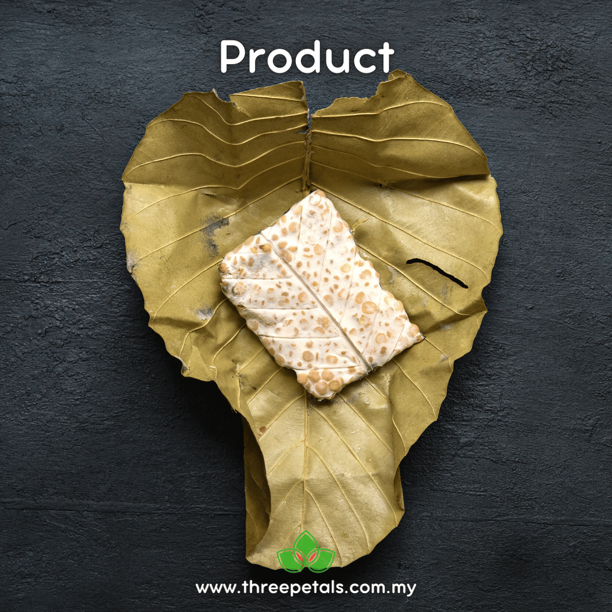 Tempeh (Rhizopus Oligosporus) Live Mycelium Mushroom Culture Spawn Seed