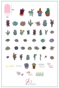 Image 1 of Oh So Succulent! (CjS-123) Steel Nail Art Stamping Plate
