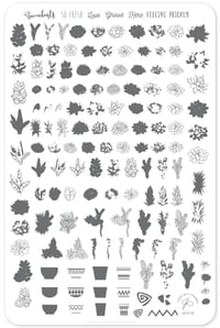 Image 2 of Oh So Succulent! (CjS-123) Steel Nail Art Stamping Plate