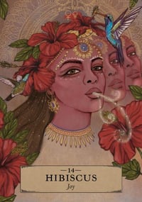 Image 3 of The Herbal Astrology Oracle Deck