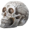 Astrology Skull Statue