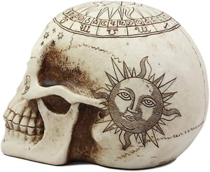 Image of Astrology Skull Statue