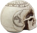Astrology Skull Statue