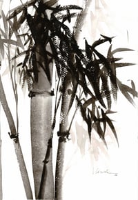 Image 1 of Watercolor Art Print "Bamboo" 