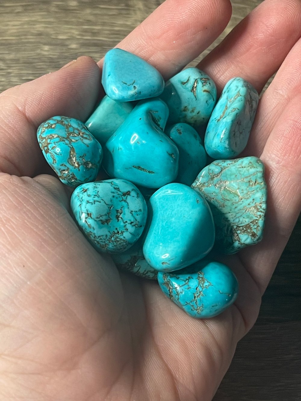 Image of Dyed blue howlite tumbles 