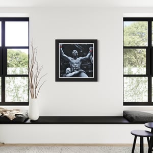 Image of VINDICATION - PRINTS