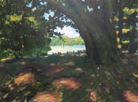 Dancing sun spots - Twickenham riverside