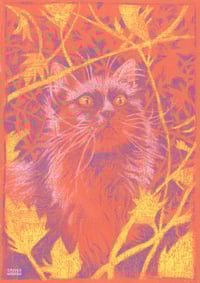 Wondercat 8x10 Print