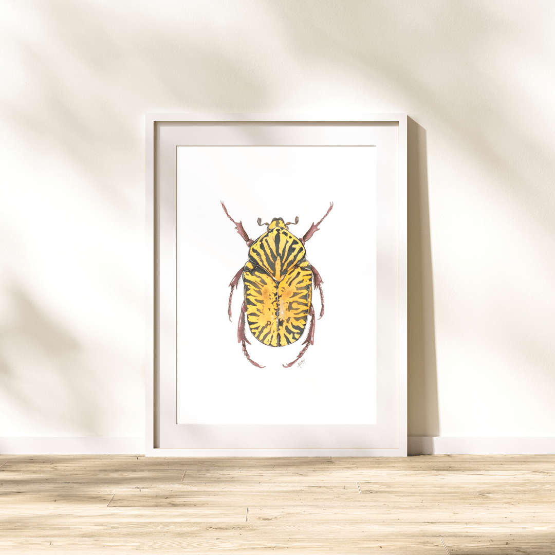 Image of  Gymnetis stellata Beetle Watercolor Illustration PRINT 