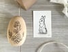 Globemallow & Spotted bunny