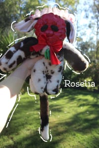 Image 1 of Meet Roselia - The Rose Cow