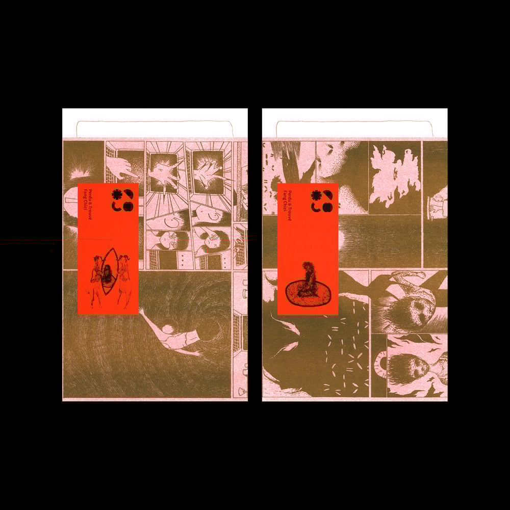 Image of Perdu & Trouve