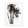 Framed watercolor print "Bamboo"