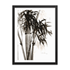 Framed watercolor print "Bamboo"