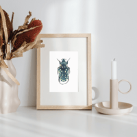 Image 6 of  Oxythyrea cinctella Beetle Watercolor Illustration PRINT 