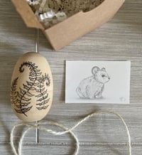 Image 1 of Fern & Pika
