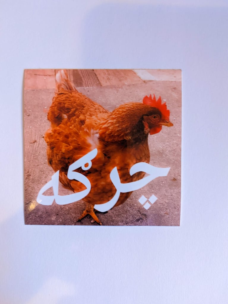 CHARGASTANI: Charga (چرګه) sticker