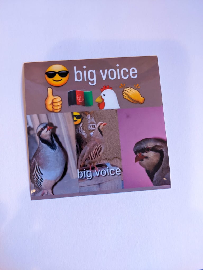 CHARGASTANI: Big Voice Sticker