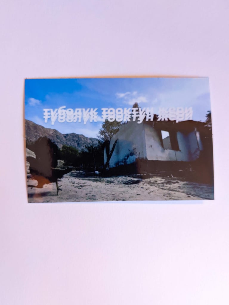 CHARGASTANI: түбөлүк тооктун жери (The Land of Eternal Chicken) Sticker