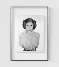 THE PRINCESS