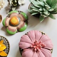 Image 1 of Beautiful Brooches