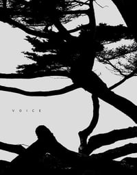 Image 1 of VOICE - Jungjin LEE