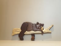 Bear on a Limb