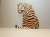 Sitting Tiger Looking Over Shoulder