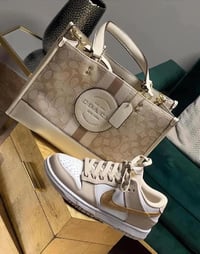 Nike and Coach Luxury Set (Gold)