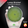 Lumpy Bracket (Trametes Gibbosa) Live Mycelium Mushroom Culture Spawn Seed